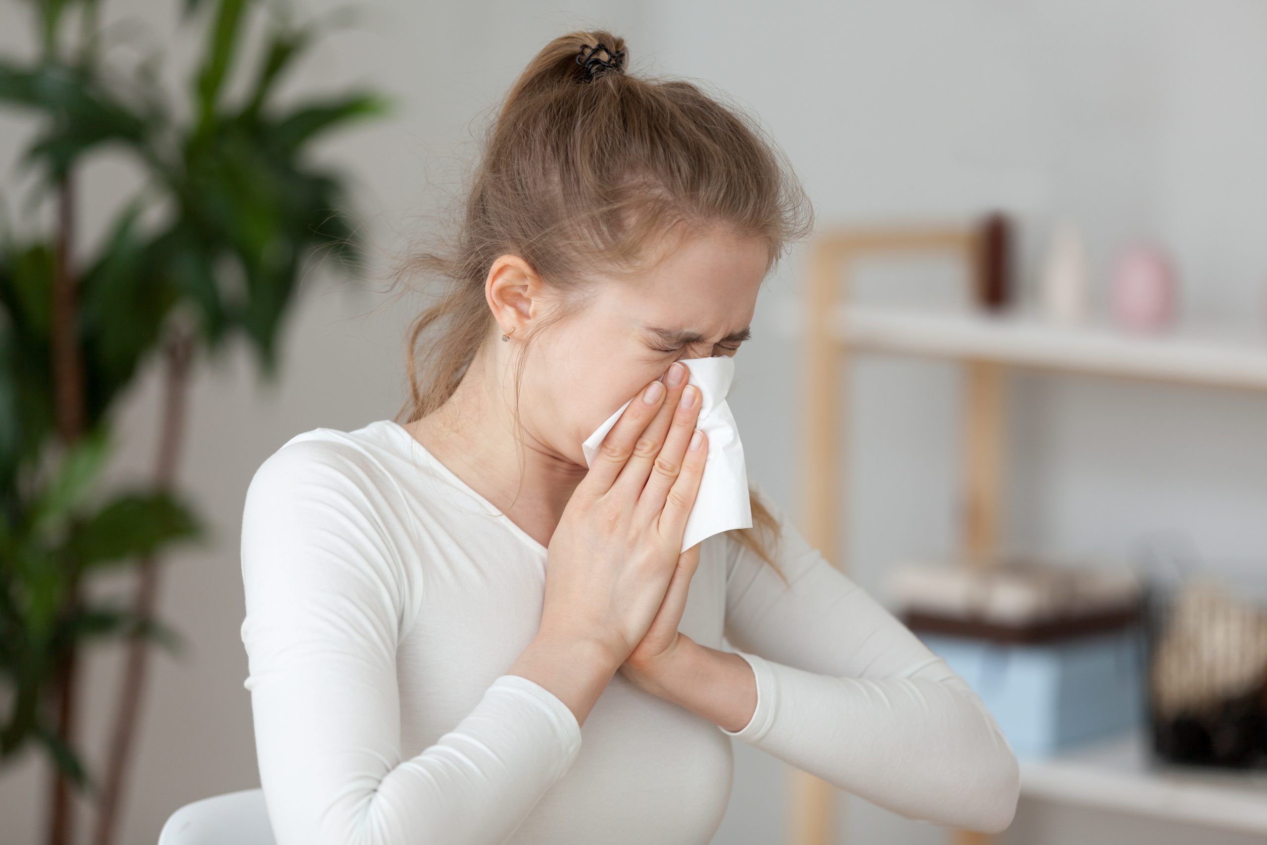 alergias y quiropráctica